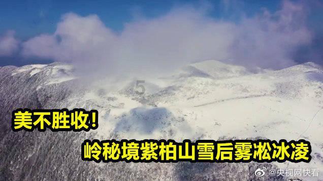 探索世界,与长远看,教育孩子是高压好还是鼓励好?分享智慧
