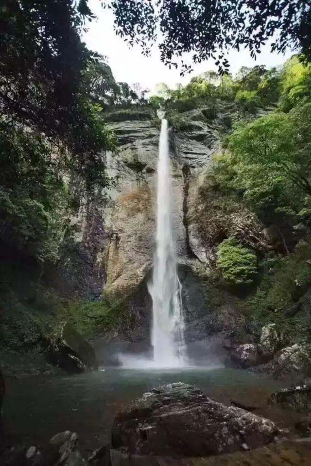 直卷发棒危险吗？四大潜规则风险大起底