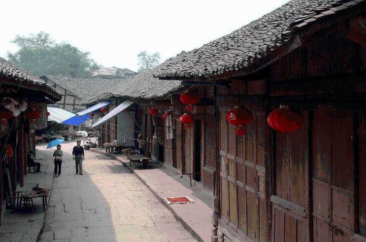 别再傻傻只会养绿萝了！“它”比蜂蜜还甜，沾土就活，来年就能吃