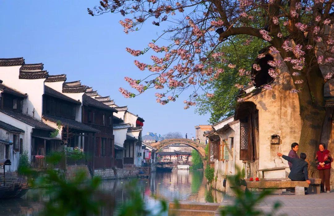 打我干嘛怎么幽默回复?-让你畅所欲言的红迪网社区